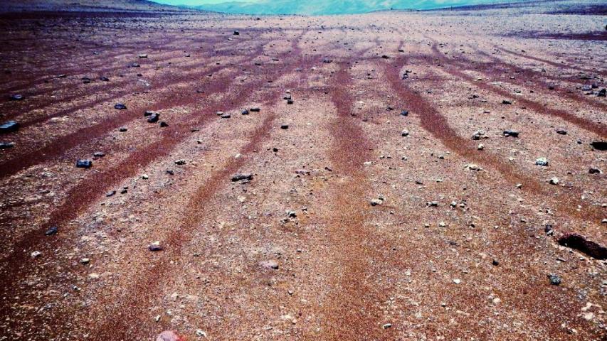 Imagen de Consejo de Monumentos pedirá al Consejo de Defensa del Estado evaluar querella por daños a Geoglifos en Pozo Almonte