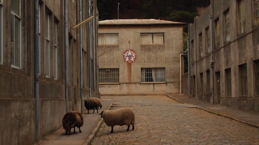 Imagen de Consejo de Monumentos Nacionales aprobó solicitud de declaratoria de Fábrica Textil Bellavista Oveja Tomé como Monumento Nacional