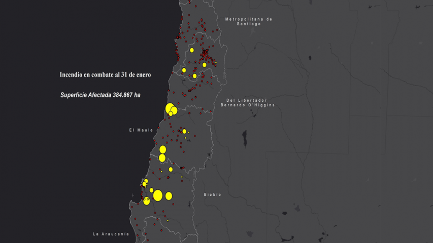 Imagen de Reporte parcial del impacto de los incendios forestales en Monumentos Nacionales