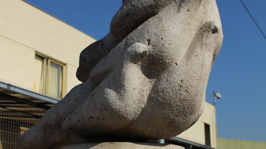 Imagen de Aprueban convertir en Monumento Nacional la totalidad del Campo de Prisioneros Tres y Cuatro Álamos