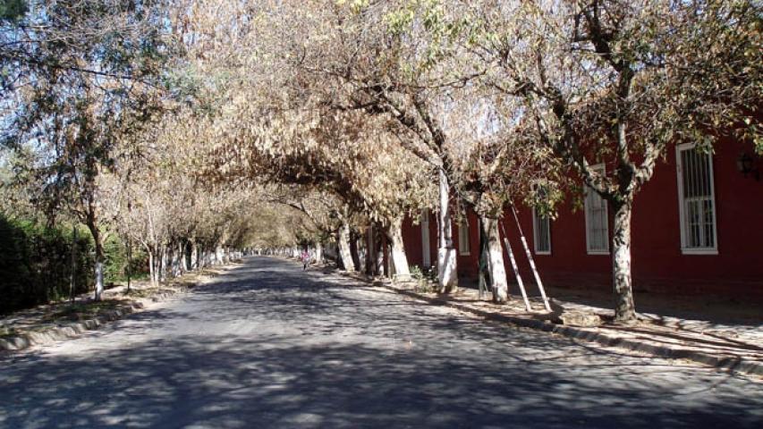 Imagen de CMN anuncia nuevo reglamento de Zonas Típicas que ayudara en la gestión de las comunidades con sus territorios