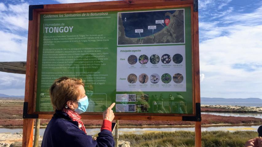 Imagen de Desde el Santuario de la Naturaleza Humedales de Tongoy Ministra de las Culturas anuncia medidas para la protección de estos Monumentos