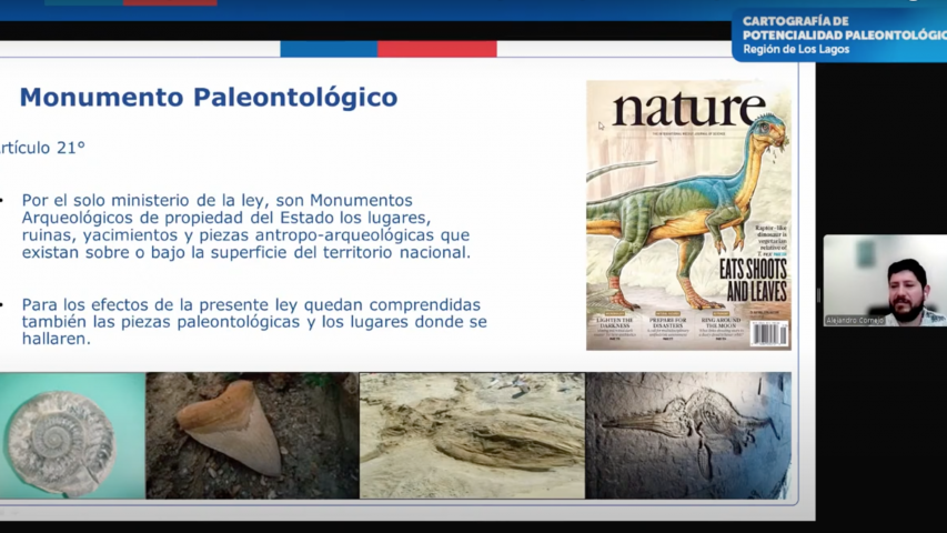 Imagen de Consejo de Monumentos Nacionales lanza herramienta digital que revela el potencial paleontológico de la Región de Los Lagos