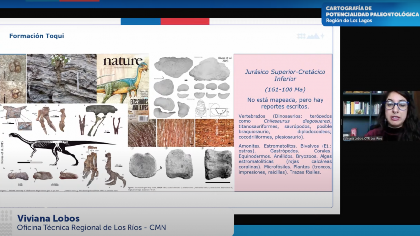 Imagen de Consejo de Monumentos Nacionales lanza herramienta digital que revela el potencial paleontológico de la Región de Los Lagos