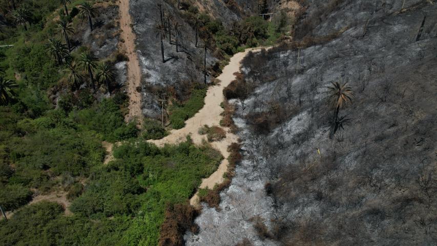 Imagen de Profesionales de la ST CMN realizaron inspección en Santuario de la Naturaleza Palmar El Salto de Viña del Mar