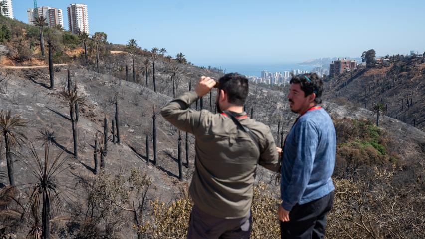 Imagen de Profesionales de la ST CMN realizaron inspección en Santuario de la Naturaleza Palmar El Salto de Viña del Mar