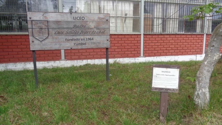 Imagen de CMN aprueba solicitud de declaratoria de los objetos del gabinete científico del Liceo Bicentenario de Yumbel