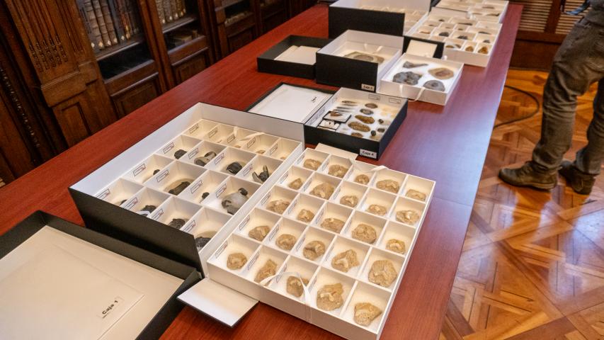 Imagen de Secretaría Técnica del CMN concreta la restitución de piezas paleontológicas originarias de Marruecos