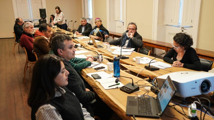 Imagen de CMN aprueba declaratoria como Monumento Histórico del primer memorial mapuche por derechos humanos
