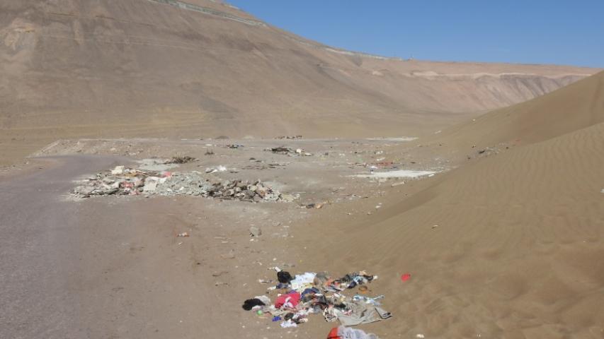 Imagen de CMN Aprueba Plan de Manejo del Santuario de la Naturaleza Cerro Dragón