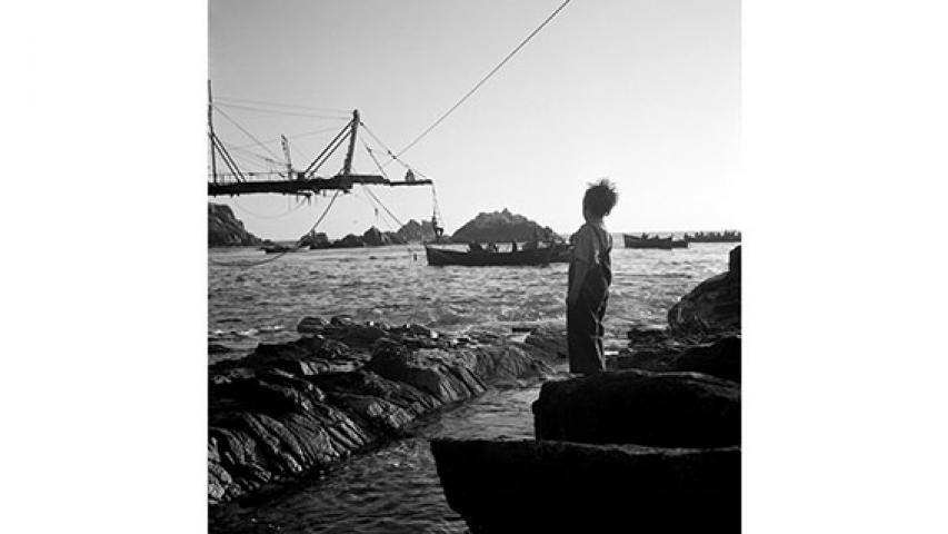 Niño a orillas del mar, 1950