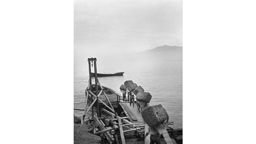 Carga de fardos de pasto, 1947