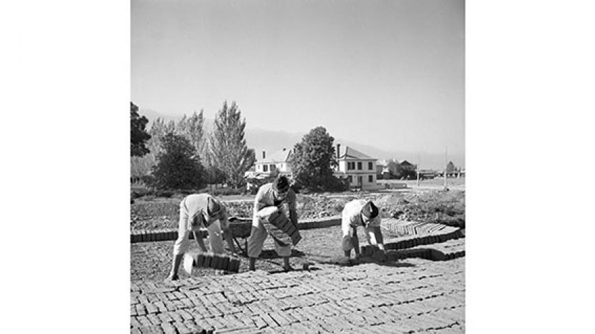 Preparación de ladrillos