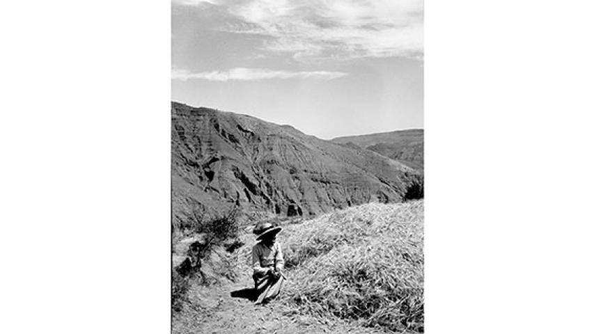 Mujer junto a espigas de trigo, 1950