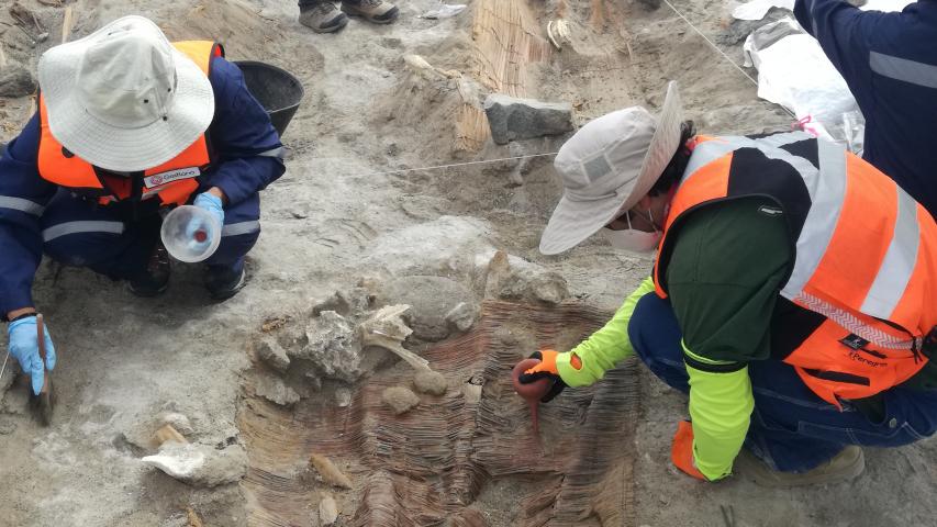 Imagen de Consejo de Monumentos Nacionales y Teck informan  rescate de hallazgos arqueológicos en la Región de Tarapacá