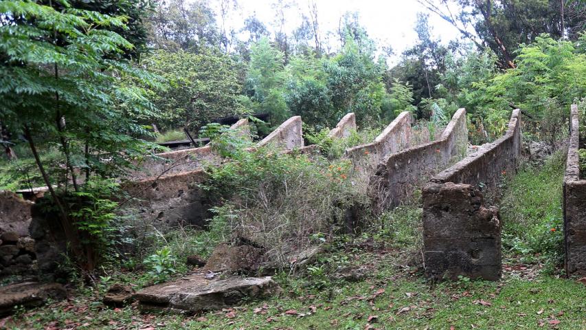 Imagen de Bienes Nacionales destina terreno de 10 hectáreas a Ministerio de Culturas para futuro Museo Antropológico de Rapa Nui