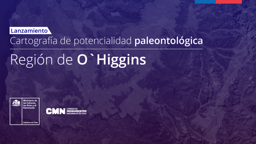 Imagen de Consejo de Monumentos Nacionales revela el potencial paleontológico de la Región de O’Higgins
