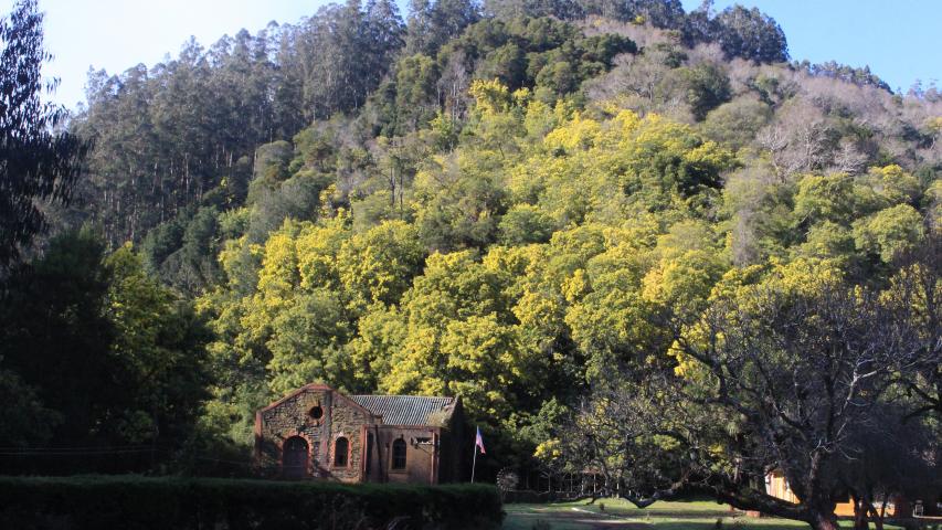 Imagen de Consejo de Monumentos aprueba amplia zona de protección para Monumento Histórico ex Central Chivilingo