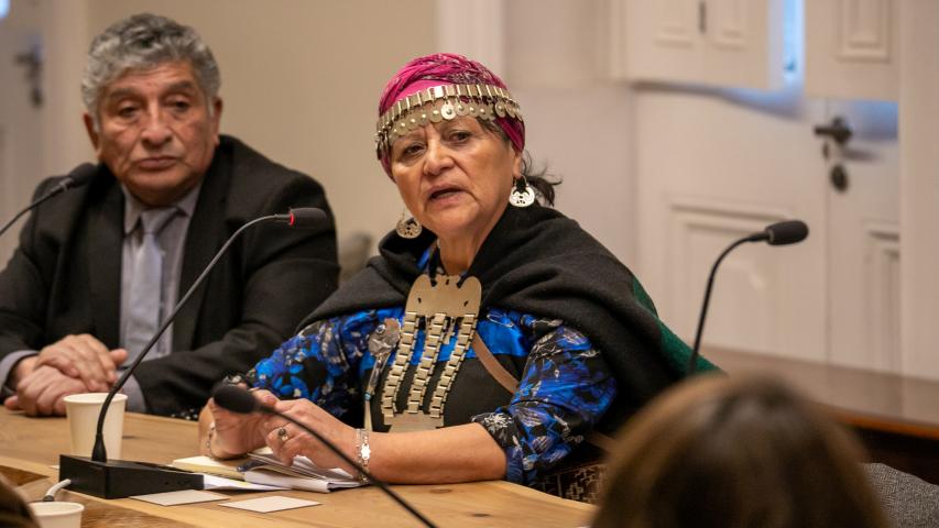 Imagen de CMN aprueba declaratoria como Monumento Histórico del primer memorial mapuche por derechos humanos