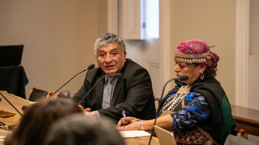 Imagen de CMN aprueba declaratoria como Monumento Histórico del primer memorial mapuche por derechos humanos