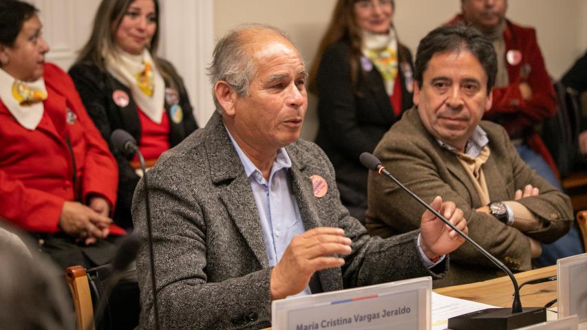 Imagen de CMN aprueba solicitud de declaratoria como Monumento Nacional del Asentamiento Minero de Potrerillos