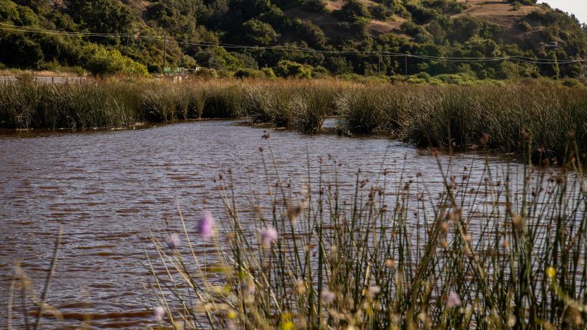 Imagen de Consejo de Monumentos Nacionales inicia campaña de concientización sobre Santuarios de la Naturaleza