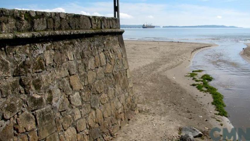 Imagen de Ciclo Conectemos con los Monumentos abordará el patrimonio arqueológico del Biobío y sus 7 mil años de dinámicas humanas