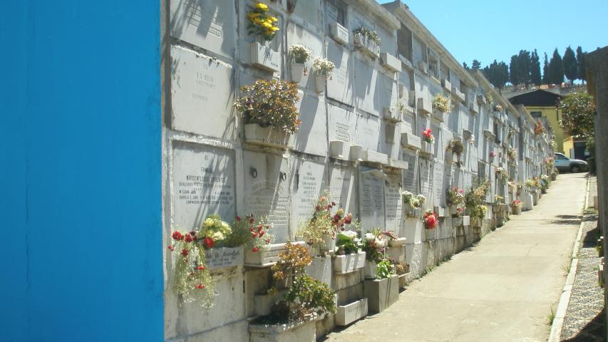 Imagen de Aprueban declaratoria como Monumento Nacional de Cementerio Santa Inés en Viña del Mar