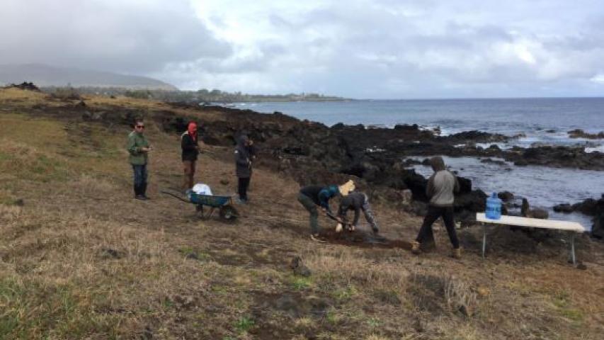 Imagen de Con “Umu Hatu”,  partieron obras para proteger el  complejo ceremonial Tahai en Rapa Nui