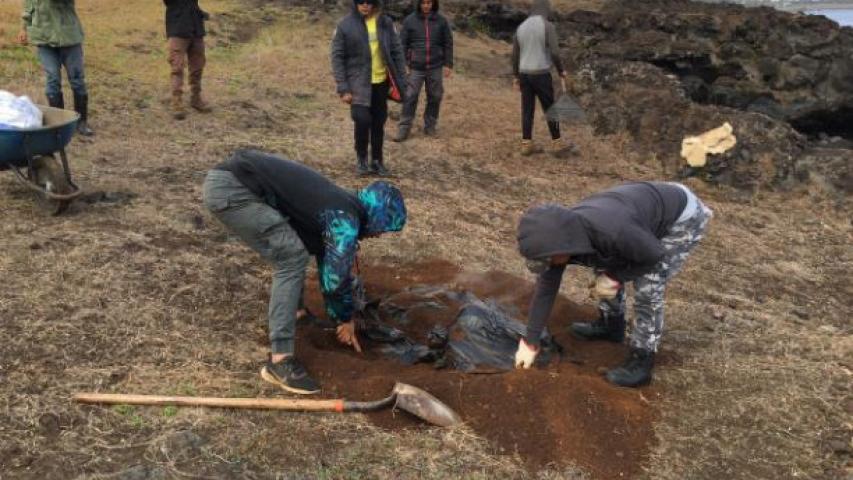 Imagen de Con “Umu Hatu”,  partieron obras para proteger el  complejo ceremonial Tahai en Rapa Nui