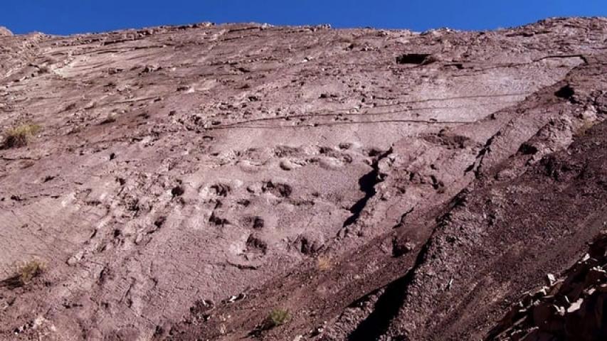 Imagen de Paleontología: Chacarillas