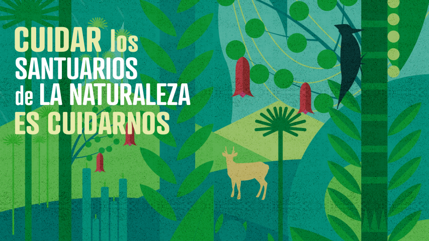 Imagen de Consejo de Monumentos Nacionales inicia campaña de concientización sobre Santuarios de la Naturaleza