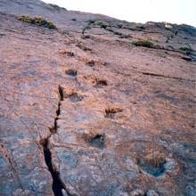 Imagen del monumento Sitio donde se conservan huellas de animales extinguidos en el lugar denominado "Termas del Flaco"