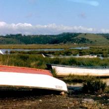 Imagen del monumento Península de Hualpén