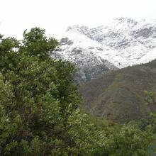 Imagen del monumento Altos de Cantillana-Horcón de Piedras y Roblería Cajón de Lisboa