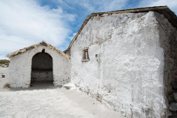 Imagen del monumento Todo el pueblo de Parinacota