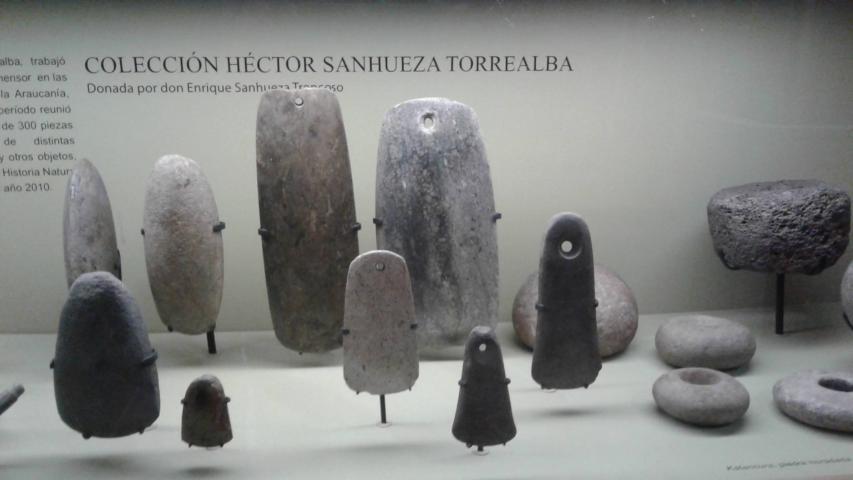 Imagen del monumento Colecciones del Museo de Historia Natural de Concepción, dependiente de la Dirección de Bibliotecas, Archivos y Museos