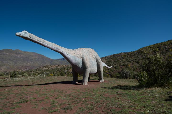 Imagen del monumento Bosque Petrificado y yacimiento de huesos de dinosaurio