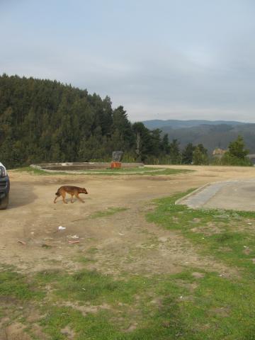 Imagen del monumento Fuerte de Colcura