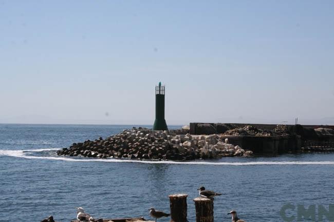 Imagen del monumento Molo y muelle de la ex Compañía de Salitre