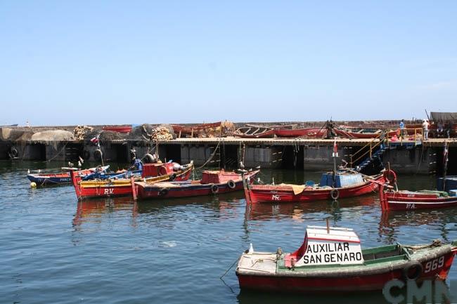 Imagen del monumento Molo y muelle de la ex Compañía de Salitre