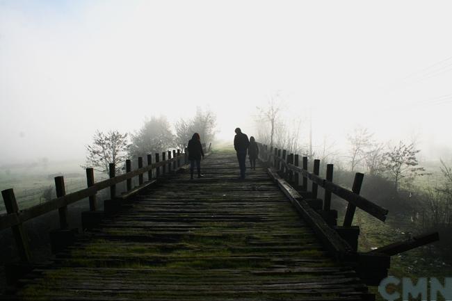 Imagen del monumento Puente viejo sobre el Río Itata