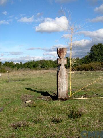 Imagen del monumento Guillatuwe, Paliwe y Eltun del complejo religioso y ceremonial de la comunidad mapuche Pedro Ancalef, en localidad de Putue