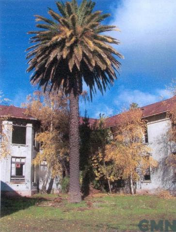 Imagen del monumento Ex hospital de Angol