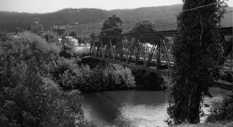 Imagen del monumento Puente Collilelfu