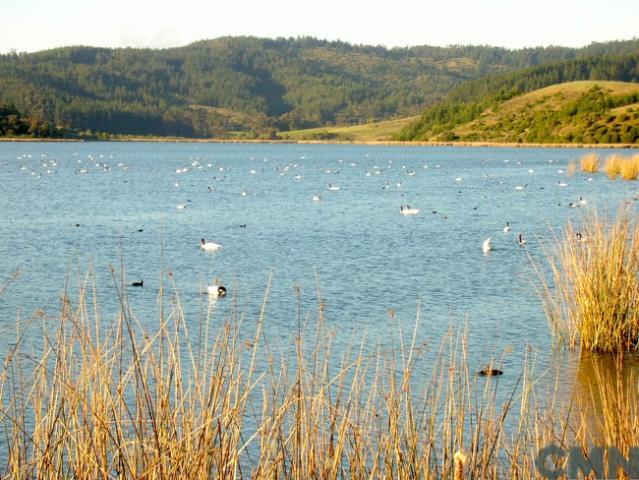 Imagen del monumento Laguna de Torca