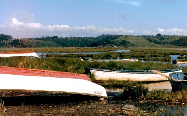 Imagen del monumento Península de Hualpén