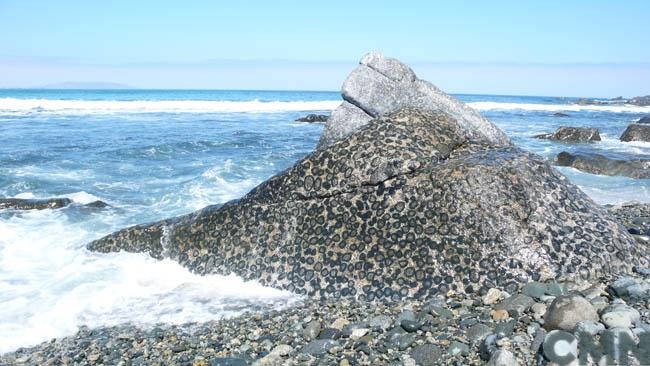 Imagen del monumento Terreno de 2,34 ha, ubicado en el Rodillo