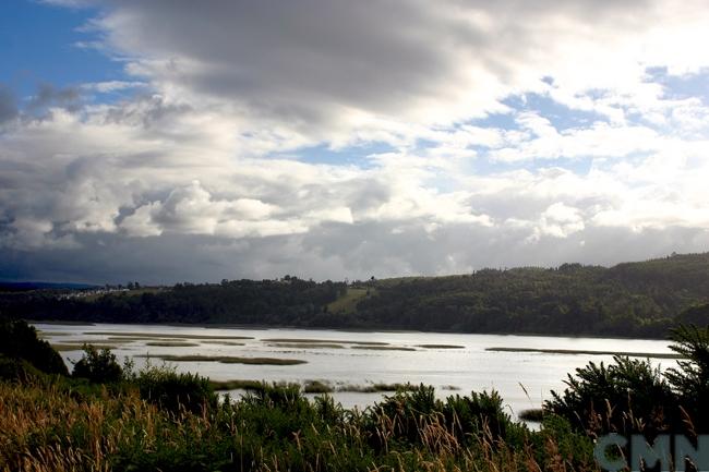 Imagen del monumento Zona húmeda de los alrededores de la ciudad de Valdivia