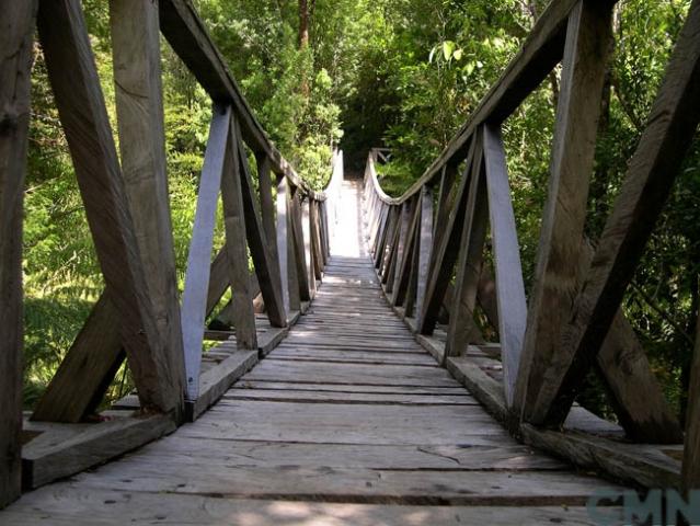 Imagen del monumento Parque Pumalín